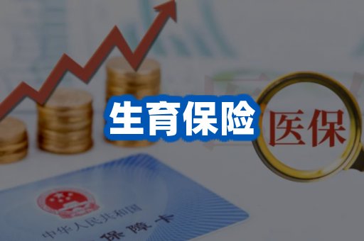 生育保险案例